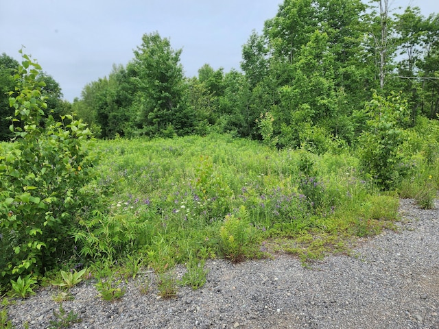 213 Moose Hill Rd, Osborn, ME 04605