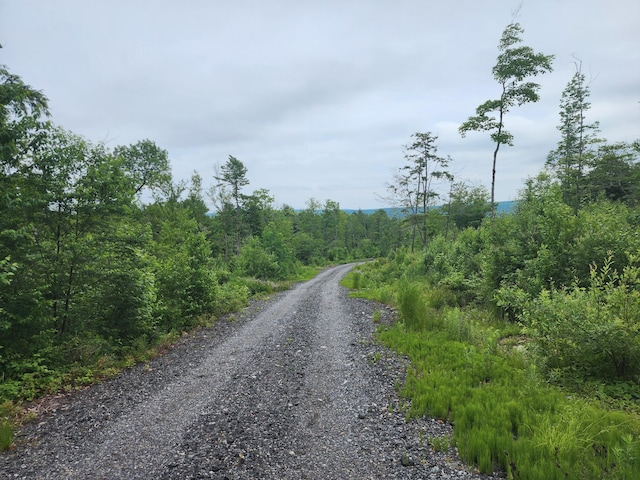 213 Moose Hill Rd, Osborn, ME 04605
