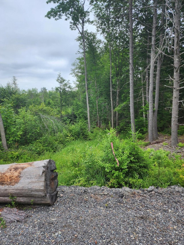 213 Moose Hill Rd, Osborn, ME 04605