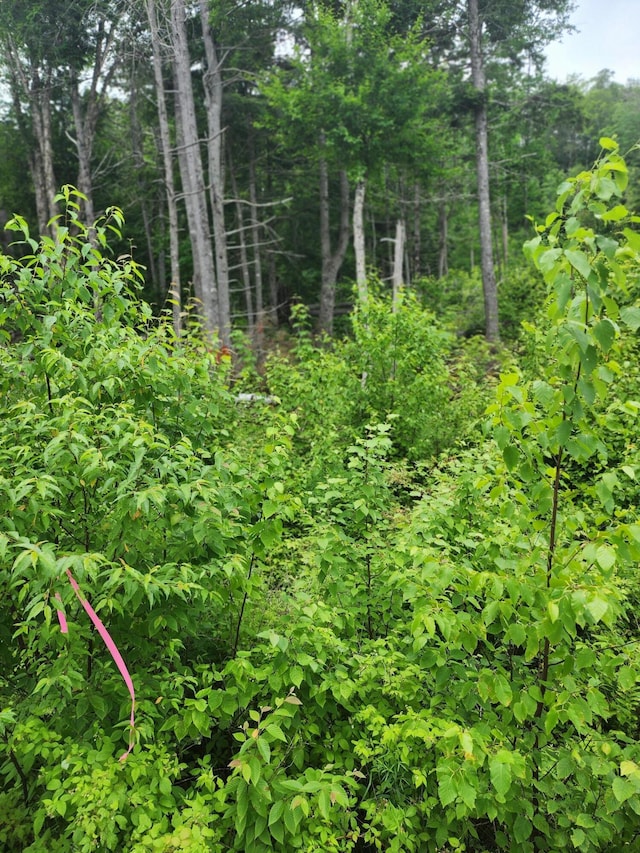 213 Moose Hill Rd, Osborn, ME 04605
