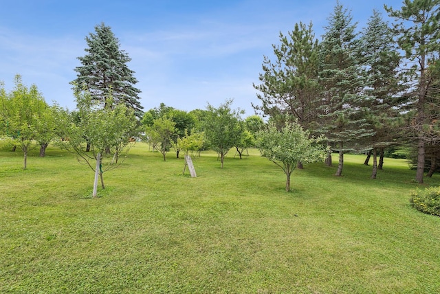 3729 Union St, Levant, ME 04456 - view of grassy yard