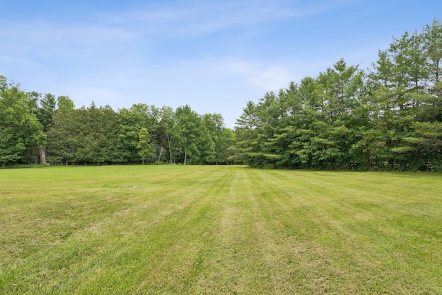 3729 Union St, Levant, ME 04456 - view of grassy yard with a forest view