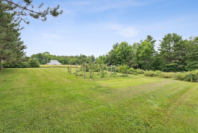 3729 Union St, Levant, ME 04456 - view of grassy yard