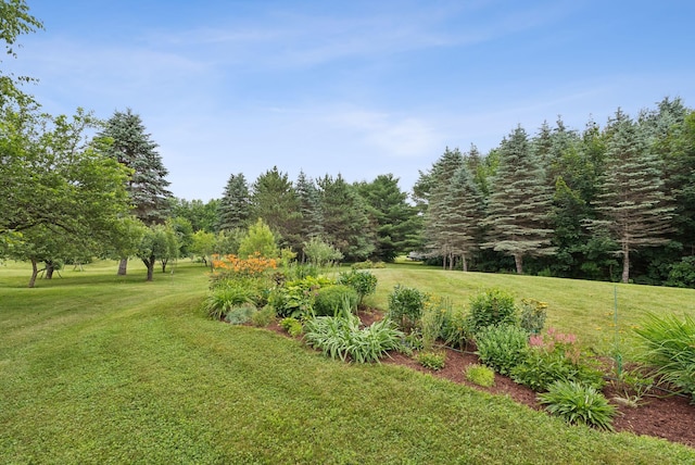 3729 Union St, Levant, ME 04456 - view of green lawn