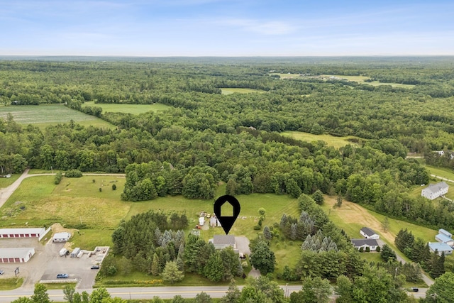 3729 Union St, Levant, ME 04456 - bird's eye view of a heavily wooded area