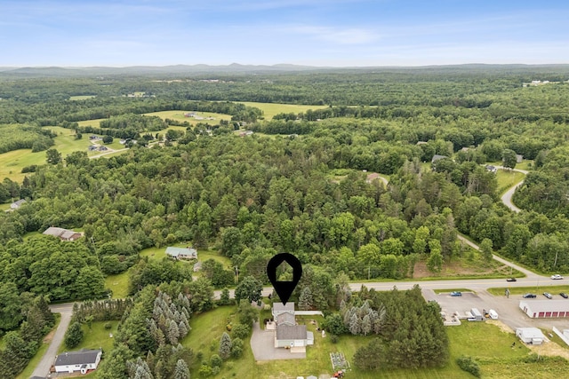 3729 Union St, Levant, ME 04456 - view of property location featuring a forest