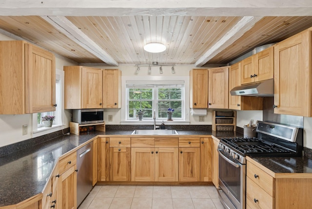 3729 Union St, Levant, ME 04456 - kitchen featuring stainless steel appliances, wood ceiling, rail lighting, under cabinet range hood, and dark countertops
