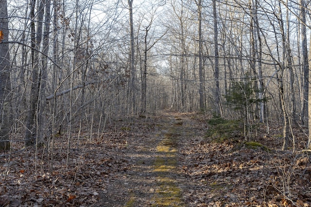 LOT1 Nobleboro Rd, Bremen, ME 04551
