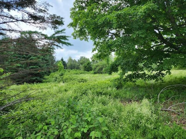 M11L15 Noyes Rd, Limestone, ME 04750 - photo 3