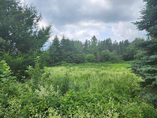 M11L15 Noyes Rd, Limestone, ME 04750 - photo 11