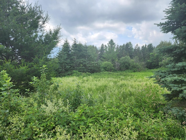 M11L15 Noyes Rd, Limestone, ME 04750 - photo 12