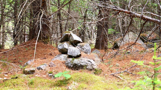 M2L51, 52 Airline Rd, Amherst, ME 04605