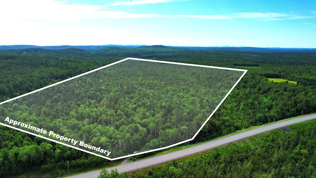 M2L51, 52 Airline Rd, Amherst, ME 04605