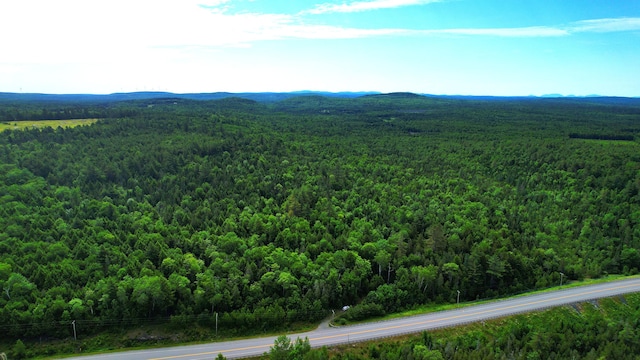 M2L51, 52 Airline Rd, Amherst, ME 04605