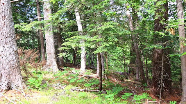 M2L51, 52 Airline Rd, Amherst, ME 04605