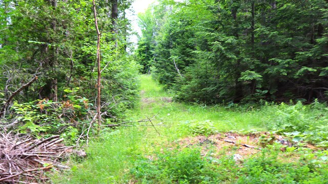 M2L51, 52 Airline Rd, Amherst, ME 04605