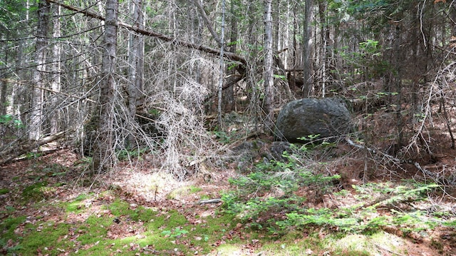 M2L51, 52 Airline Rd, Amherst, ME 04605