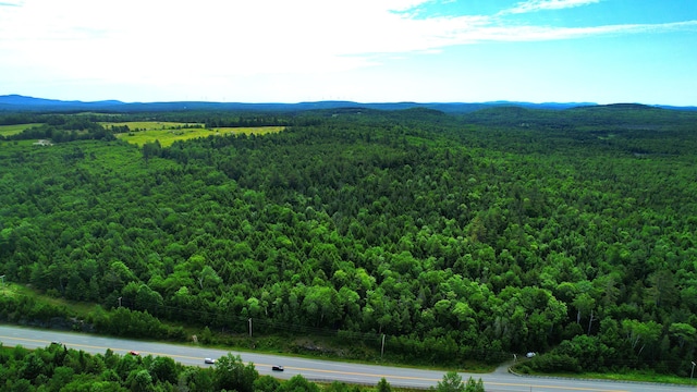 M2L51, 52 Airline Rd, Amherst, ME 04605