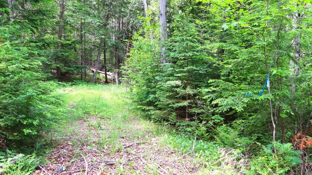 M2L51, 52 Airline Rd, Amherst, ME 04605