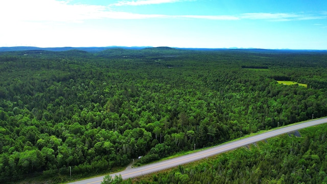 M2L51, 52 Airline Rd, Amherst, ME 04605
