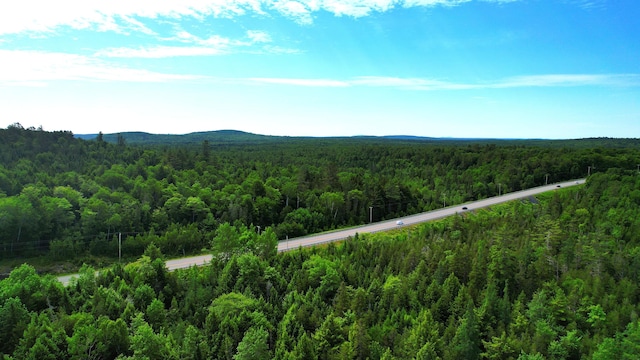M2L51, 52 Airline Rd, Amherst, ME 04605