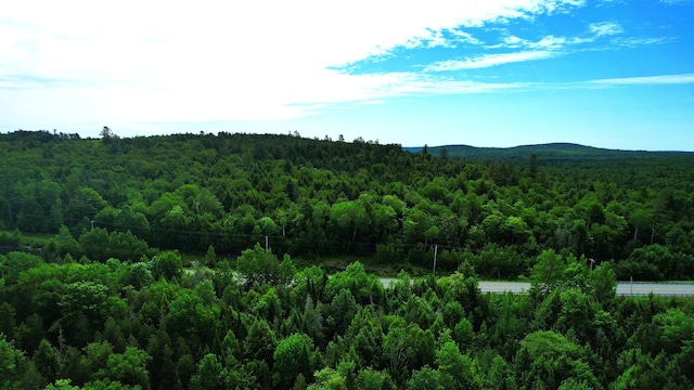 M2L51, 52 Airline Rd, Amherst, ME 04605