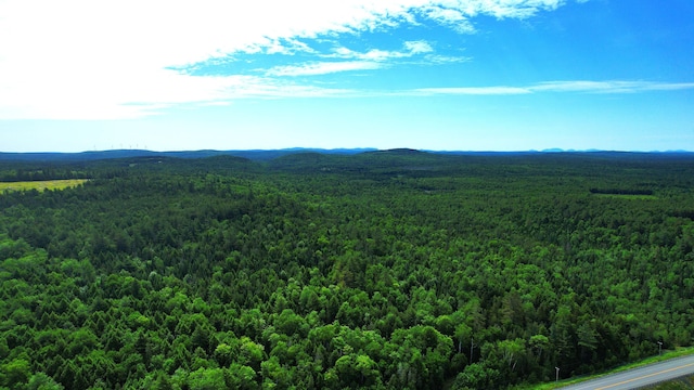 M2L51, 52 Airline Rd, Amherst, ME 04605
