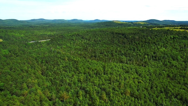 M2L51, 52 Airline Rd, Amherst, ME 04605