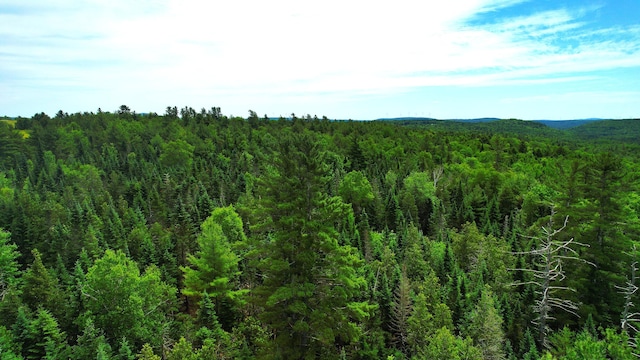 M2L51, 52 Airline Rd, Amherst, ME 04605