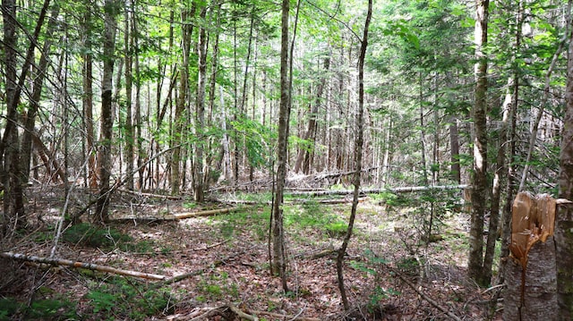 M2L51, 52 Airline Rd, Amherst, ME 04605