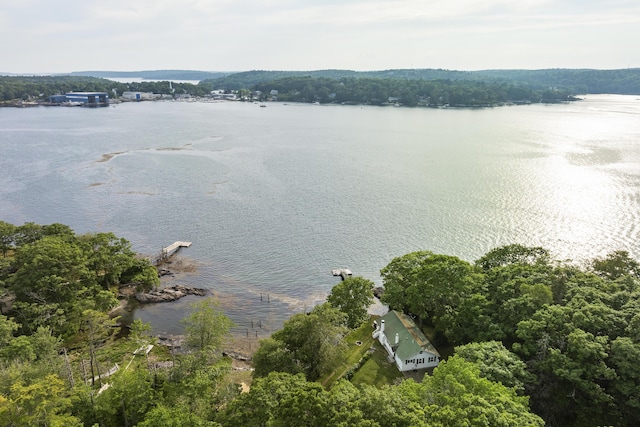 28 Will Alley Rd, South Bristol, ME 04568 - water view featuring a heavily wooded area