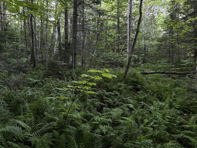 M8RL24, 24A Anson Valley Rd, New Vineyard, ME 04956