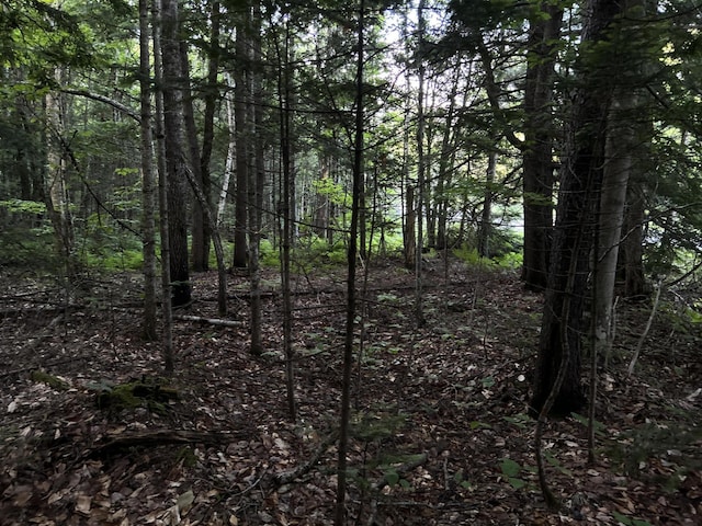 M8RL24, 24A Anson Valley Rd, New Vineyard, ME 04956