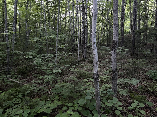 M8RL24, 24A Anson Valley Rd, New Vineyard, ME 04956