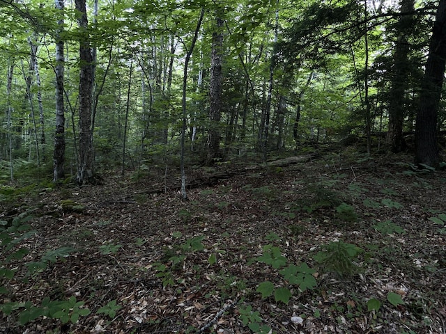 M8RL24, 24A Anson Valley Rd, New Vineyard, ME 04956