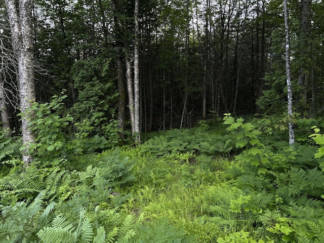 M8RL24, 24A Anson Valley Rd, New Vineyard, ME 04956