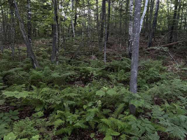 M8RL24, 24A Anson Valley Rd, New Vineyard, ME 04956