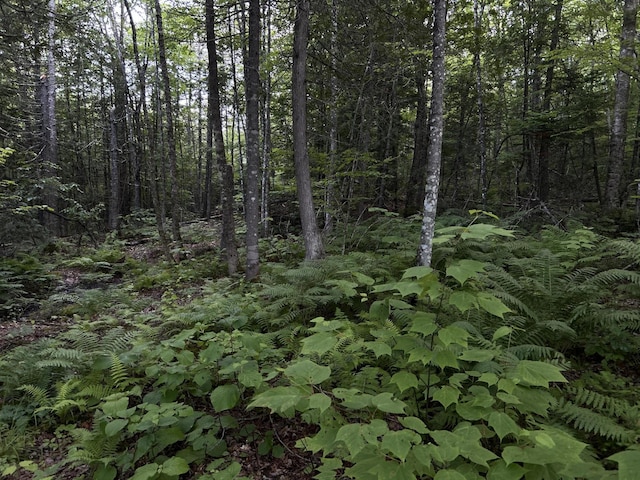 M8RL24, 24A Anson Valley Rd, New Vineyard, ME 04956