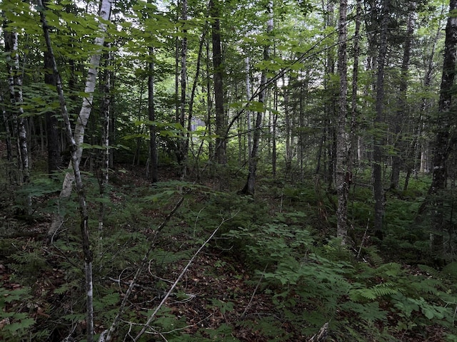 M8RL24, 24A Anson Valley Rd, New Vineyard, ME 04956