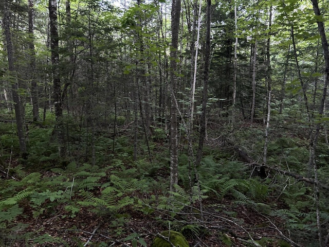 M8RL24, 24A Anson Valley Rd, New Vineyard, ME 04956