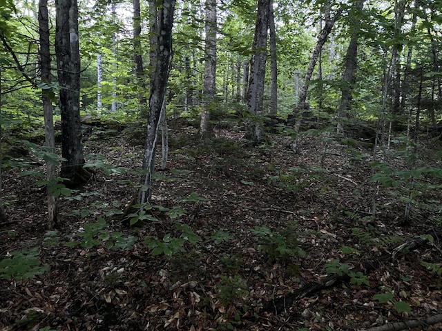 M8RL24, 24A Anson Valley Rd, New Vineyard, ME 04956