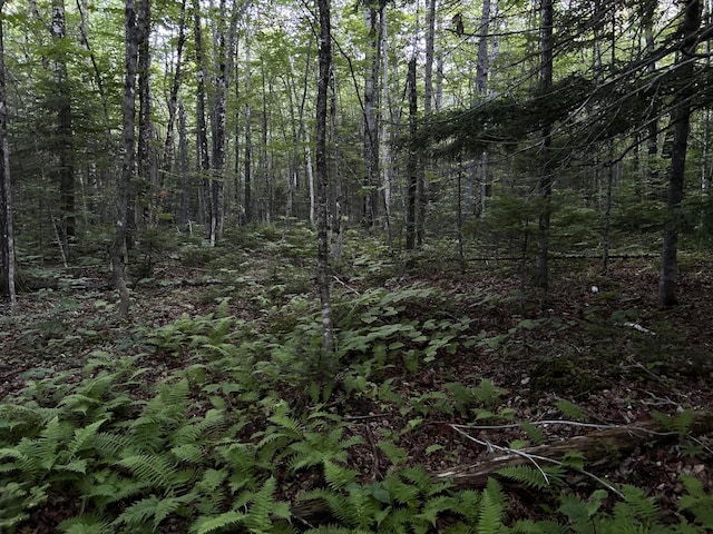 M8RL24, 24A Anson Valley Rd, New Vineyard, ME 04956