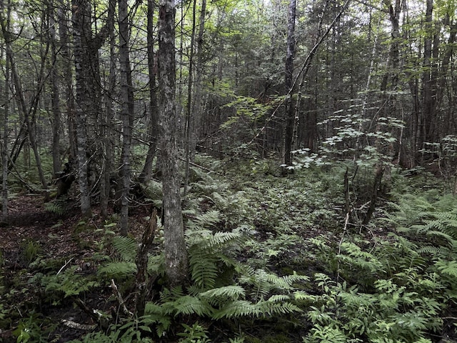 M8RL24, 24A Anson Valley Rd, New Vineyard, ME 04956