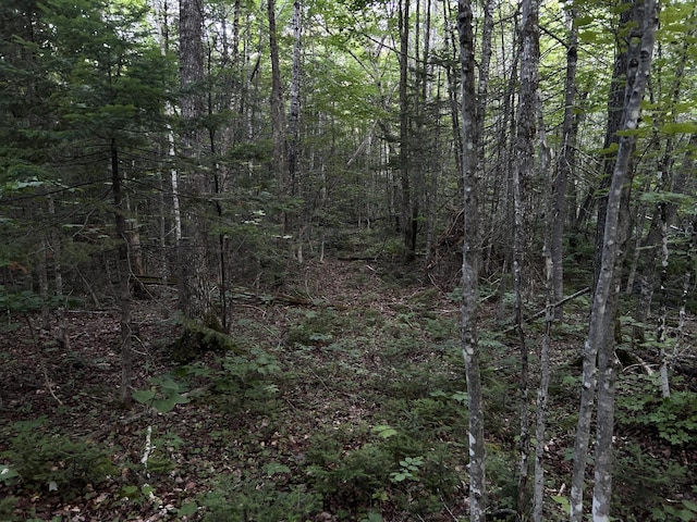 M8RL24, 24A Anson Valley Rd, New Vineyard, ME 04956