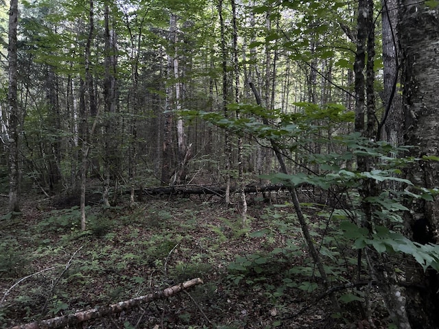 M8RL24, 24A Anson Valley Rd, New Vineyard, ME 04956