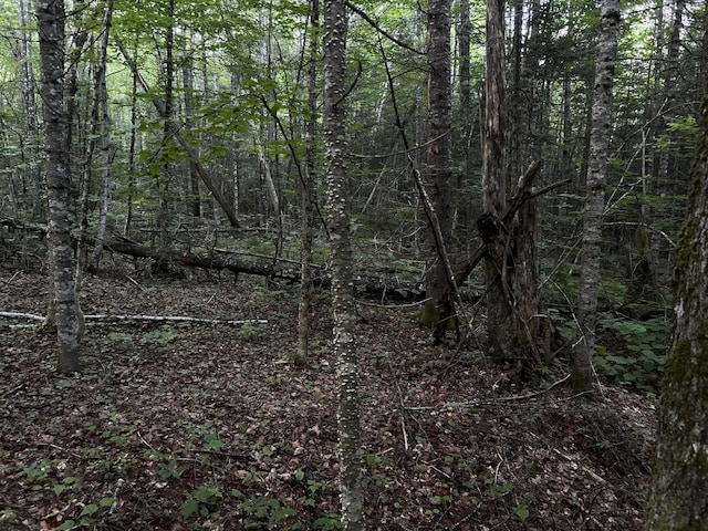 M8RL24, 24A Anson Valley Rd, New Vineyard, ME 04956