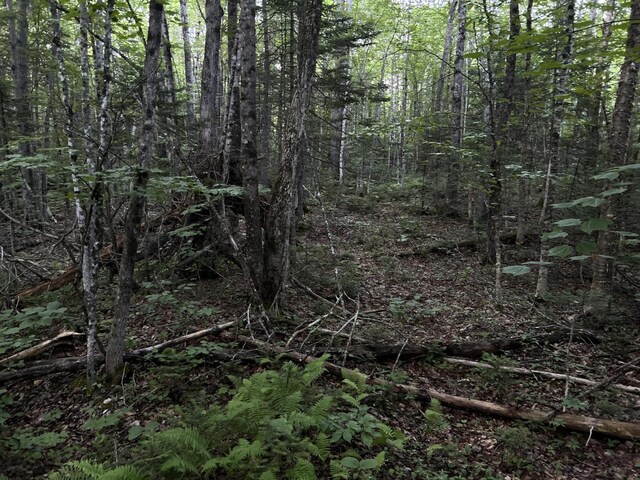 M8RL24, 24A Anson Valley Rd, New Vineyard, ME 04956