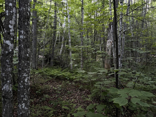 M8RL24, 24A Anson Valley Rd, New Vineyard, ME 04956