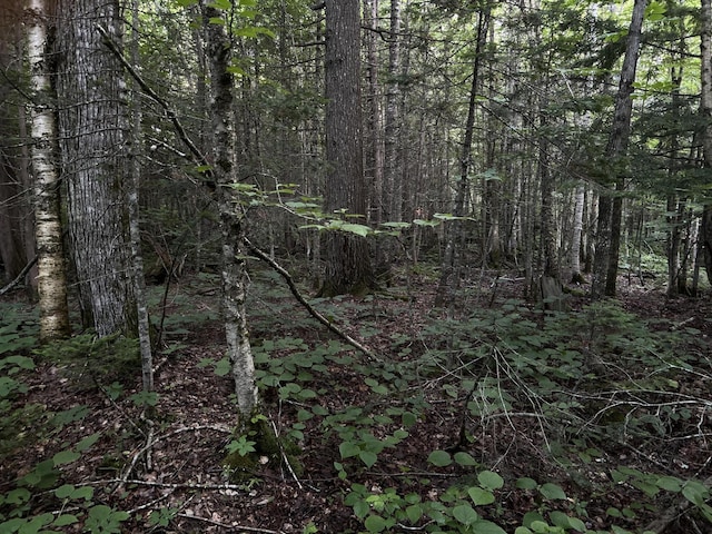 M8RL24, 24A Anson Valley Rd, New Vineyard, ME 04956