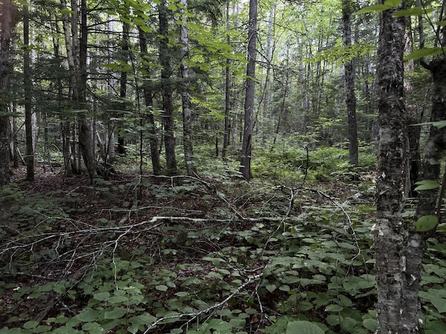 M8RL24, 24A Anson Valley Rd, New Vineyard, ME 04956